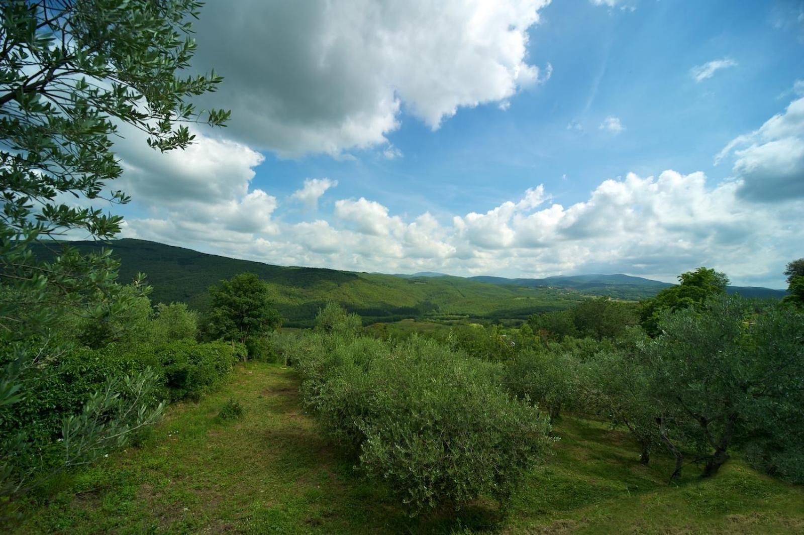 Hotel Girifalco - Nature & Relax Маса Маритима Екстериор снимка